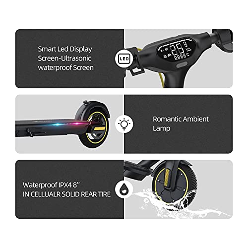 TOMOLOO Electric Scooter: Foldable & Portable, 350W Motor