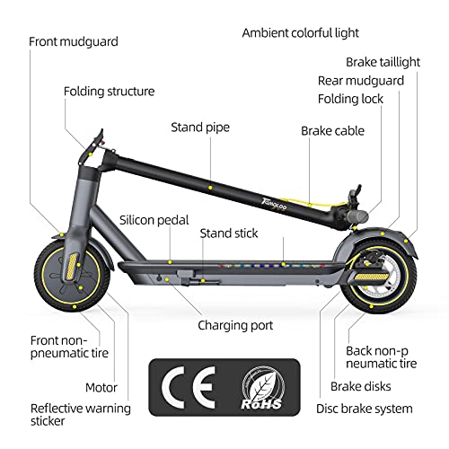 TOMOLOO Electric Scooter: Foldable & Portable, 350W Motor