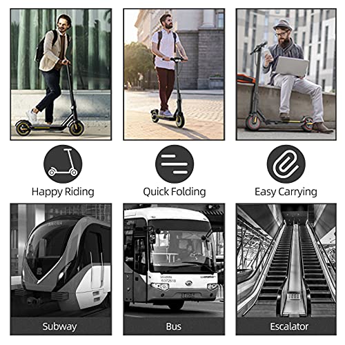 TOMOLOO Electric Scooter: Foldable & Portable, 350W Motor