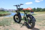 2023 EBIKE 48V 75.0W 17.5AH CITY COMMUTE 40KM/H