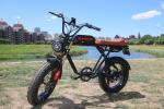 2023 EBIKE 48V 75.0W 17.5AH CITY COMMUTE 40KM/H