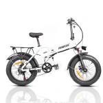 250W Foldable Electric Fat Tire City Bicycle