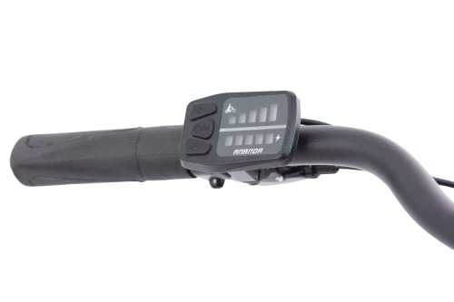 Schiano E-Moon Electric Bike with 250W Motor