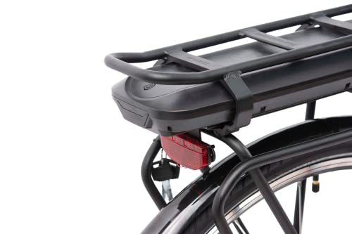 Schiano E-Moon Electric Bike with 250W Motor