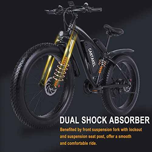 Premium Electric Mountain Bike with Full Suspension