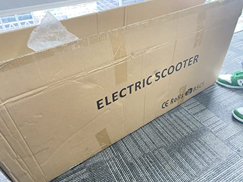 4MOVE Electric Offroad Scooter - 350W Motor