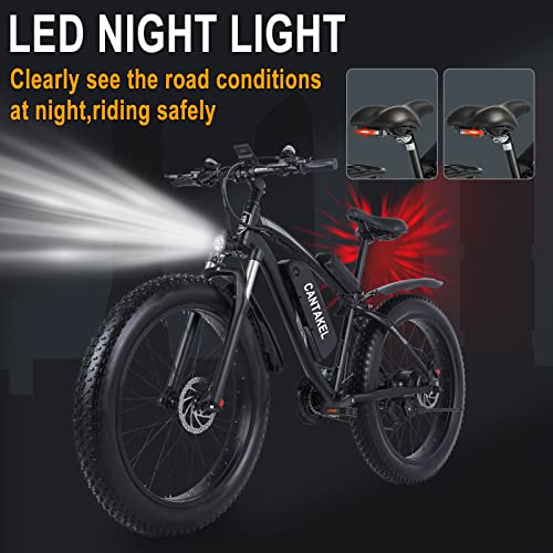Premium Electric Mountain Bike with Full Suspension