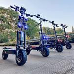 Off-road Electric Scooter with Dual Motor and Suspension