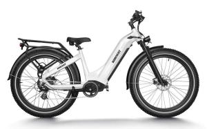 HIMIWAY ZEBRA Electric Hybrid Bike 25km/h 250W