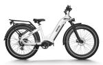 HIMIWAY ZEBRA Electric Hybrid Bike 25km/h 250W