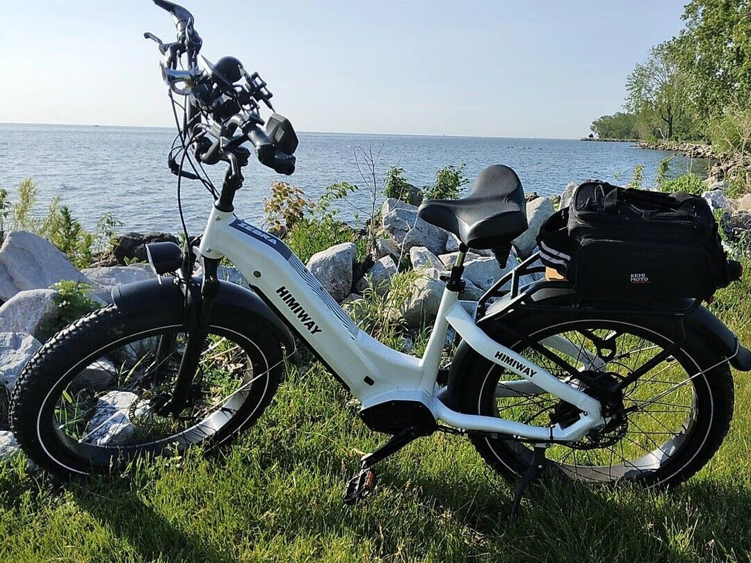 HIMIWAY ZEBRA Electric Hybrid Bike 25km/h 250W