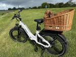 HIMIWAY ZEBRA Electric Hybrid Bike 25km/h 250W