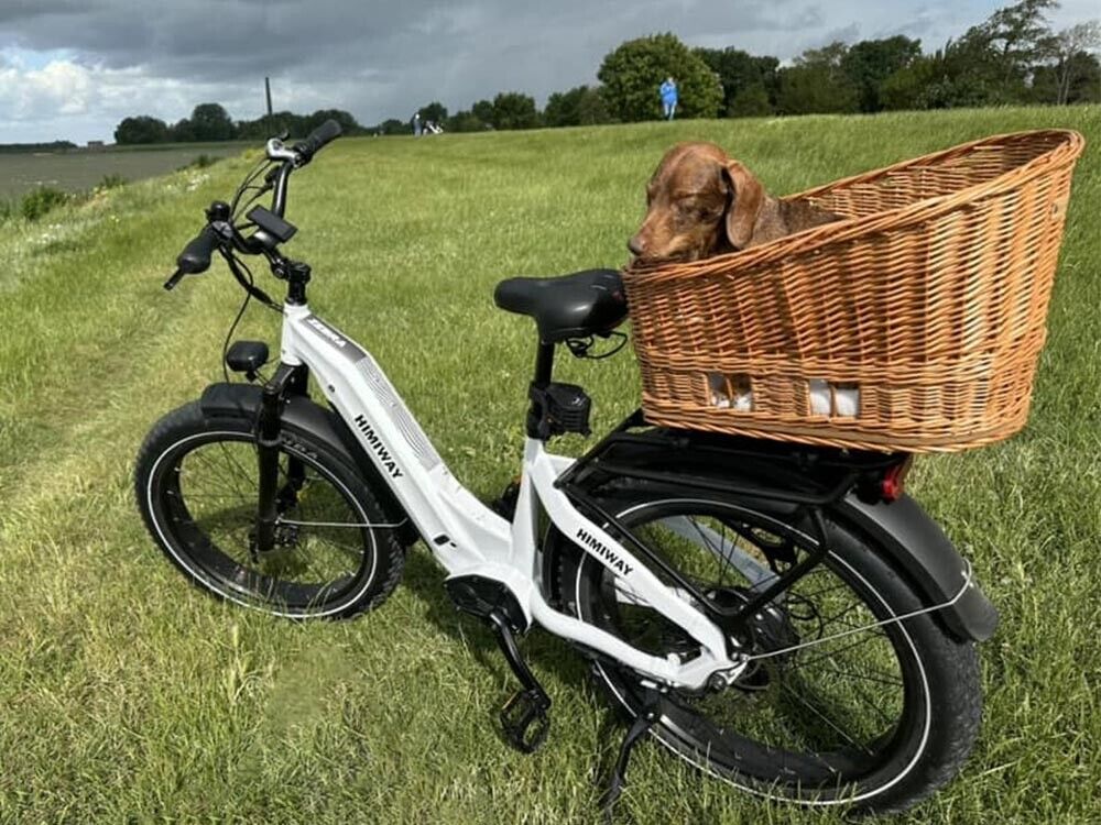 HIMIWAY ZEBRA Electric Hybrid Bike 25km/h 250W