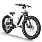 HIMIWAY ZEBRA Electric Hybrid Bike 25km/h 250W