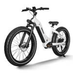 HIMIWAY ZEBRA Electric Hybrid Bike 25km/h 250W
