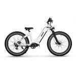 HIMIWAY ZEBRA Electric Hybrid Bike 25km/h 250W