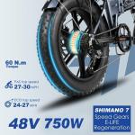 ENGWE EP-2 PRO 20" 48V.250W Folding E-Bike