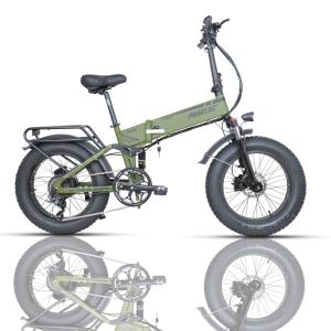 20'' Folding E-bike, 250W, 48V, 12AH with Fat Tire