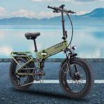 20'' Folding E-bike, 250W, 48V, 12AH with Fat Tire