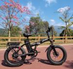 DEEPOWER G20 Electric Mountain Bike 20" Fat Tire