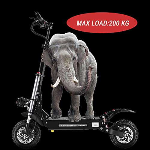 HWWH Electric Offroad Scooter - Foldable, Dual Motor, 11" Tyres