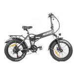 Electric Folding Bike with 250W/48V Motor