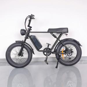 20" Electric Beach Mountain Bike | 1000W | 48V