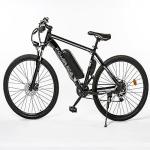 EAGLE Electric Bike: 250W Motor, 27.5" Wheel, 19" Frame - Speed 25KM/H