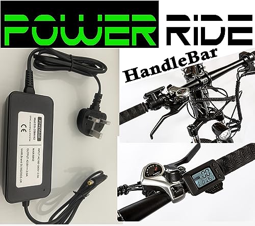 EAGLE Electric Bike: 250W Motor, 27.5" Wheel, 19" Frame - Speed 25KM/H