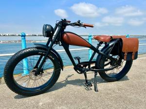 Retro Fat Tyre Beach Cruiser - 48v 250w Bafang Motor