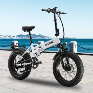 20" Fat Tire Folding E-Bike - 250W, 48V, White