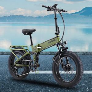 20'' Folding Mountain Electric Bike 250W 48V Fat Tire 9-Gear