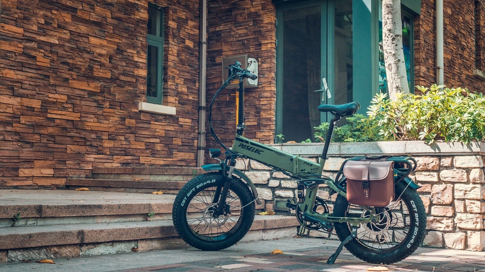 20'' Folding Mountain Electric Bike 250W 48V Fat Tire 9-Gear