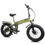 20'' Folding Mountain Electric Bike 250W 48V Fat Tire 9-Gear