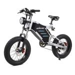 Off-Road Electric Bike with 48V Battery