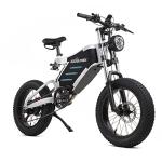 Off-Road Electric Bike with 48V Battery