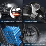 Powerful X20 Electric Bicycle for Adults with Fat Tires