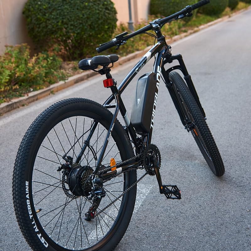 Jamiah 29" Electric Bikes: Shimano 21-Speeds & 250W Motor