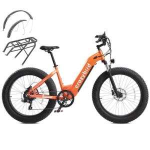 Cyrusher 26Inch Electric Bike, Crazybird, 52V, 250W