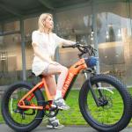 Cyrusher 26Inch Electric Bike, Crazybird, 52V, 250W
