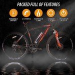 Swifty AT650 Electric Mountain Bike