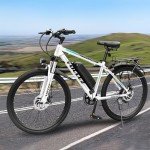 Powerful 27.5" Adult E-Bike with LCD Display
