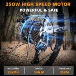Powerful 27.5" Adult E-Bike with LCD Display