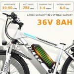 Powerful 27.5" Adult E-Bike with LCD Display