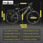 Eleglide T1 Mountain E-bike with LCD Display
