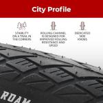 Electric Bike Tyres with Antipuncture Protection - Pack of 2