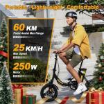 Hidoes C5 Folding Electric Bike with Removable Battery