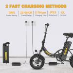Hidoes C5 Folding Electric Bike with Removable Battery