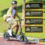 Hidoes C5 Folding Electric Bike with Removable Battery