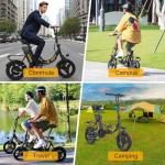 Hidoes C5 Folding Electric Bike with Removable Battery